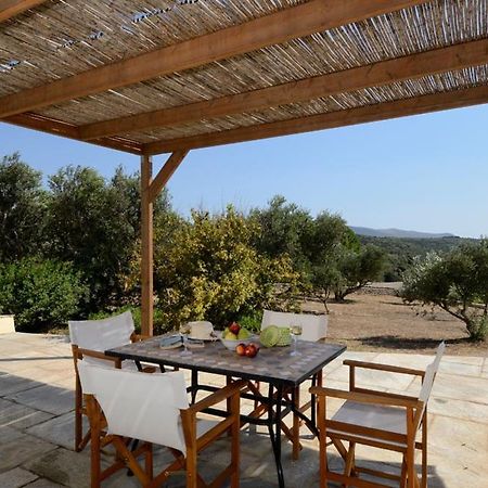 Hasienta House Frillingiánika Εξωτερικό φωτογραφία